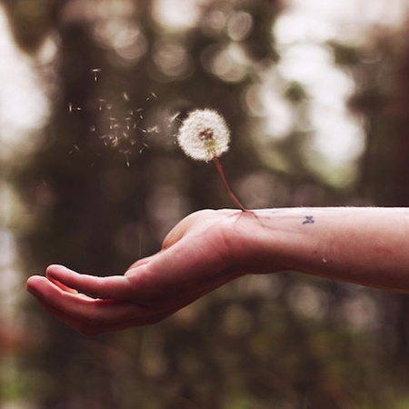 Χωρισμός με πρόγραμμα