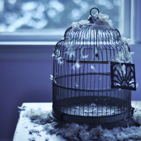 Δεν ήσουν ποτέ πραγματικά ελεύθερος