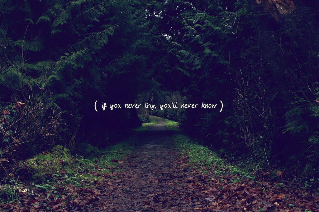 Never try never know. Tumblr цитаты. If you never try you'll never know. If you never try you will never know.