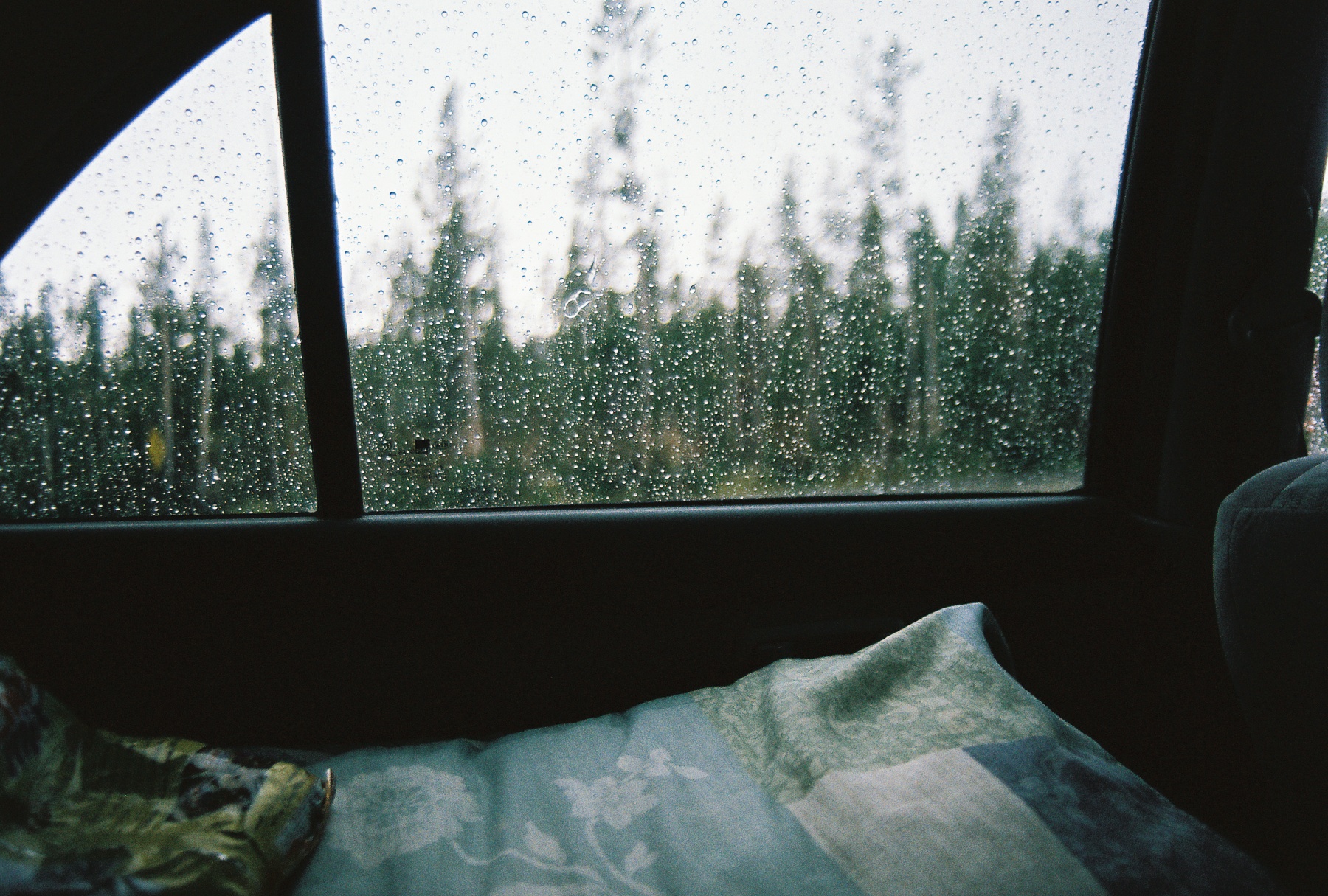 Ночь за окном а я не сплю. Вид из окна автомобиля. Пейзаж за окном машины. Окно машины. Окно с видом на дождь.
