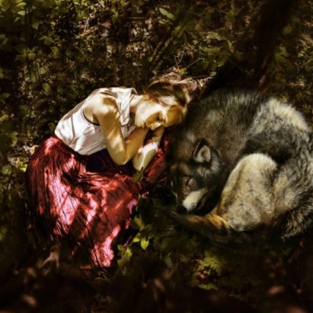 Κι αν ο λύκος ήταν καλός πριν γίνει ό,τι έγινε;