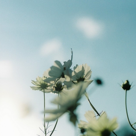 Άνοιξη σημαίνει αρχή