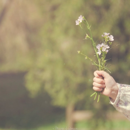 Ευγενικές ψυχές