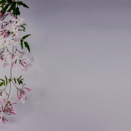 Ο καταδικασμένος έρωτας μύριζε γιασεμί (Μέρος Α’)