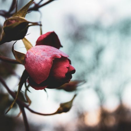 Ανακούφιση να παραδέχεσαι τι νιώθεις