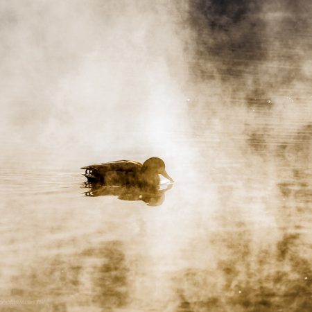 Όταν κάτι λείπει, μας πιάνει πείσμα ή παράπονο