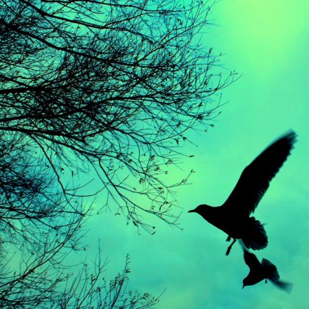 Κι αν οι εποχές αλλάζουν, πάντα κάτι θα σε τραβάει πίσω