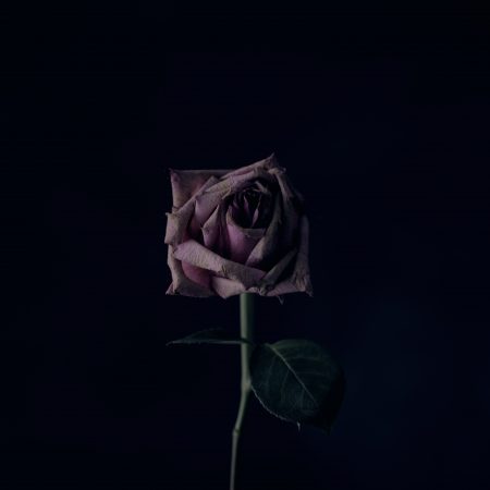 Μοναξιά σου όλα ή μοναξιά σου τίποτα;