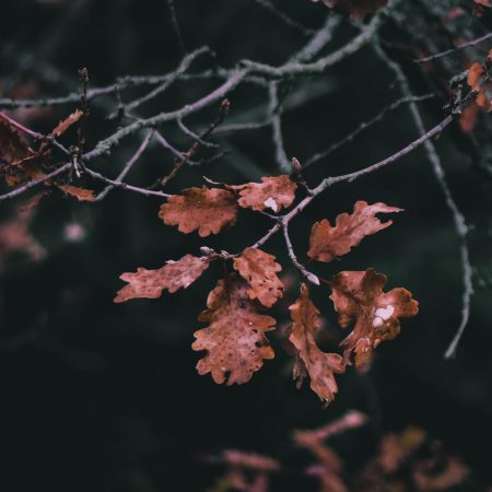 Γιατί ζητάς κάτι που δεν πρόκειται ν' αξιοποιήσεις;