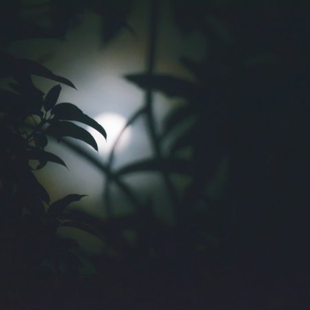 Βουβή αλληγορία