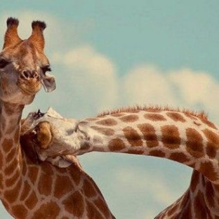 4 κάπως «διαφορετικά» ερωτικά καλέσματα