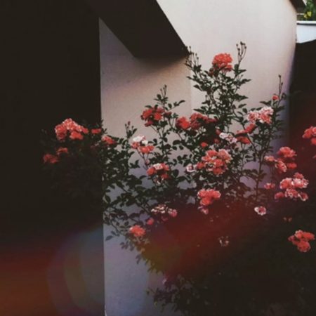 «Κι όλα τα λουλούδια να κόψεις, η άνοιξη πάλι θα έρθει»