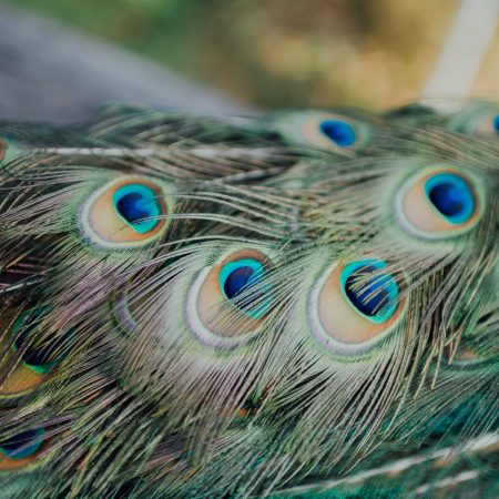 Ο περήφανος φοβάται μην τον περάσεις για αδύναμο