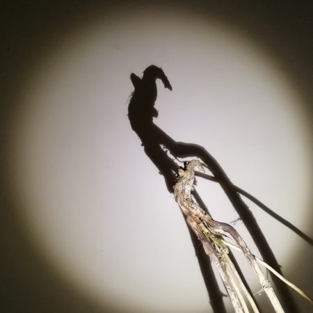 Το σύνδρομο της ευτυχισμένης μαριονέτας