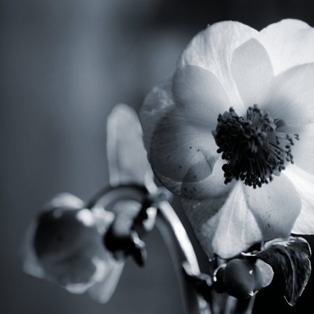 Σε πρόσωπο «σπουδαίο» συμπεριφερόμαστε διαφορετικά