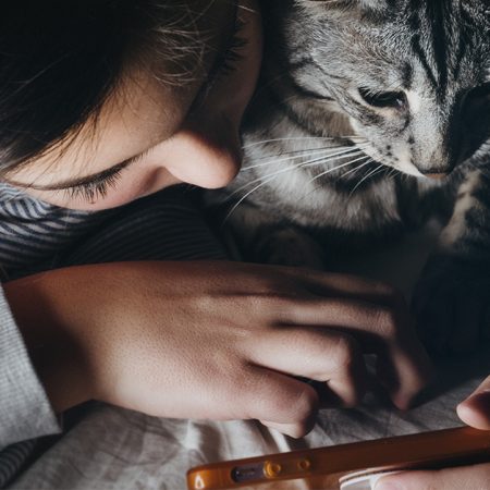 Είσαι για ένα κουίζ;