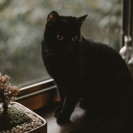 Όλοι έχουμε ένα αντικείμενο που το θεωρούμε «το τυχερό μας»