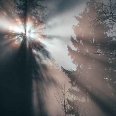 Όπου η πραγματικότητα είναι λίγη, τον λόγο παίρνει η φαντασία