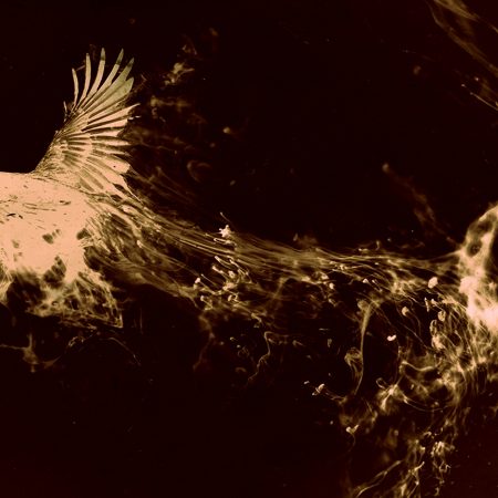 Πετάξαμε ψηλά και δεν αντέξαμε