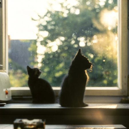 Η έννοια της τύχης είναι ανθρώπινη εφεύρεση