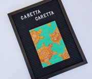 Notebook | Caretta Caretta