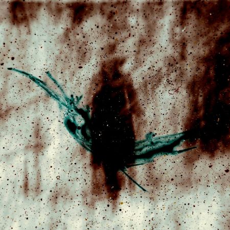 Ένα σύμπαν που έχει τ' όνομά σου