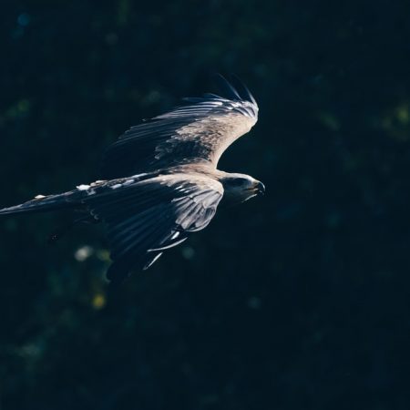 Κόντρα σε όλους μείνε ένα πνεύμα ελεύθερο