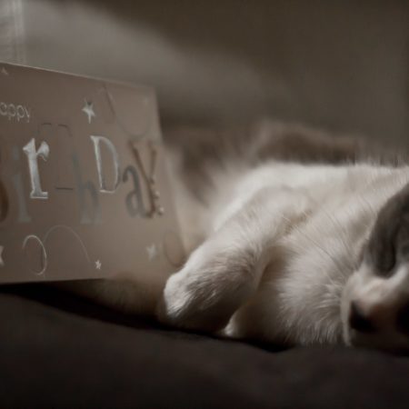 Η μέρα των γενεθλίων μας έχει κάτι από μελαγχολία