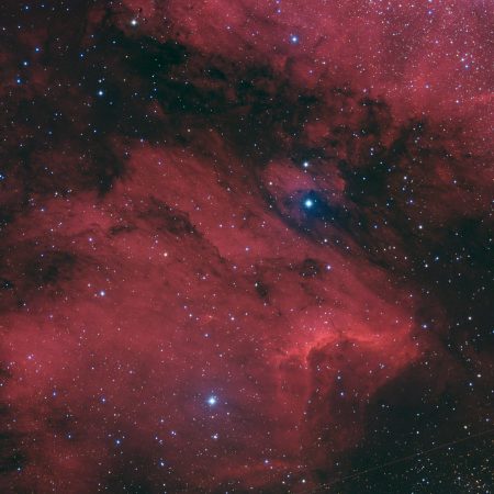 Αισθηματικές προβλέψεις 29/7