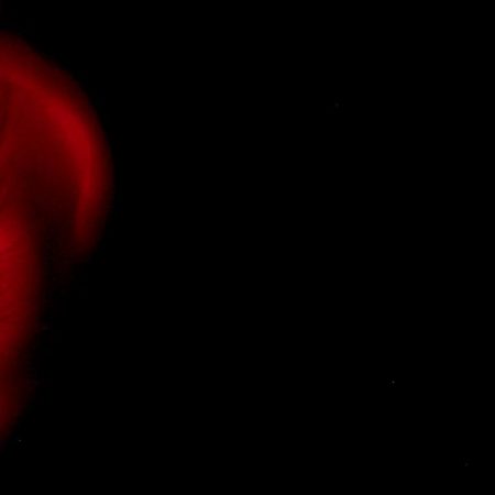 Αφτί· το μυστικό της κατάκτησης