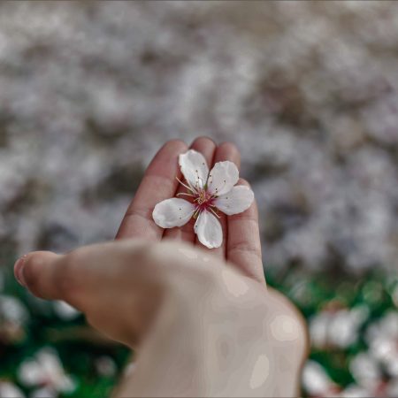 Στην αλληλεγγύη δε χωράνε διακρίσεις