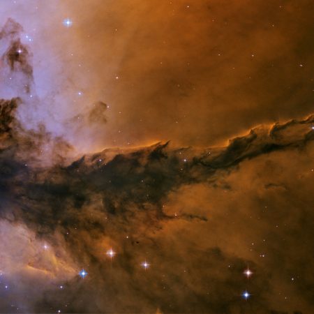 Αισθηματικές προβλέψεις 14/11