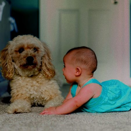 10 βήματα για να γνωρίσεις στο νεογέννητο παιδί σου το σκυλί σου