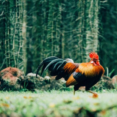 Αντέχουν δυο ισχυρές προσωπικότητες στην ίδια παρέα;