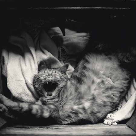 Εκδραμάτιση∙ όταν ξεσπάς σε λάθος άνθρωπο τη λάθος στιγμή