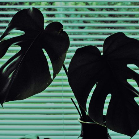 Το σύστημα RAS φιλτράρει όσα εσύ θεωρείς σημαντικά