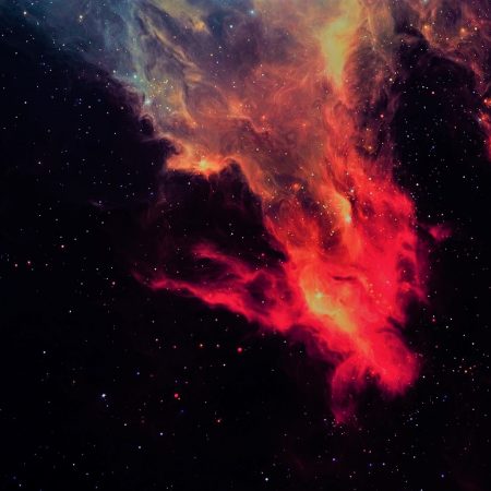 Αισθηματικές προβλέψεις 25/1