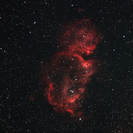 Αισθηματικές προβλέψεις 12/1