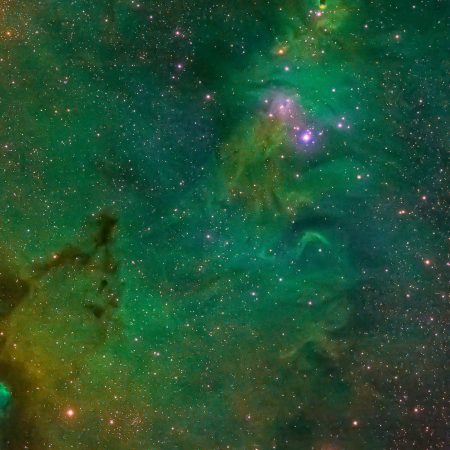 Αισθηματικές προβλέψεις 19/1