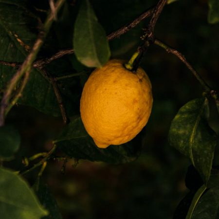 100 λόγοι να μην είσαι καλα δε νικούν 1 για να είσαι