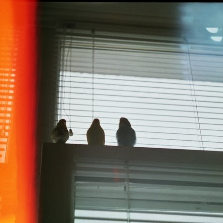 Το παίζουμε μοναχικές ψυχές μα χρειαζόμαστε τους ανθρώπους μας