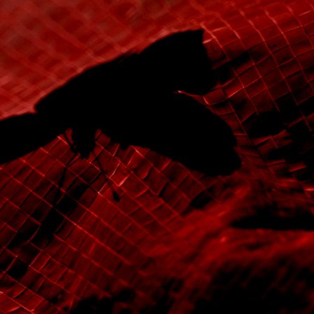 Ερωτομανία· όταν είσαι σίγουρος πως σ' έχει ερωτευτεί