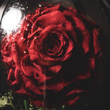 Τα ρομαντικά και γλυκανάλατα είναι το φάρμακό μας για τη ρηχότητα