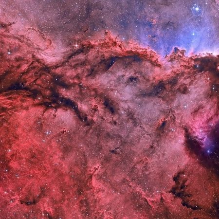 Ερωτικές προβλέψεις 2023 | Ταύρος