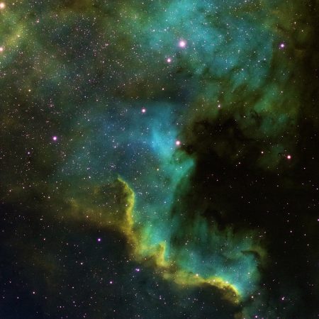 Αισθηματικές προβλέψεις 20/12