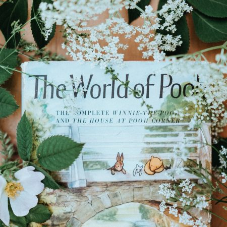 Οι 8 χαρακτήρες του Γουίνι και οι ψυχικές τους διαταραχές