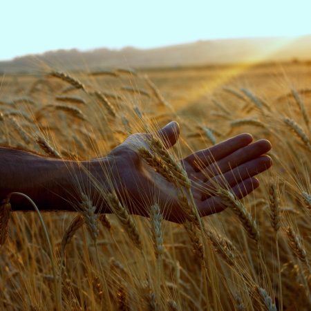 H ερώτηση που θα σε φέρει ένα βήμα πιο κοντά στην ευτυχία