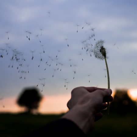 3 μυθολογικές ερμηνείες για τον άνεμο Ζέφυρο