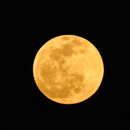 Τα ζώδια απαντούν αν σου την πέφτει ή σε βλέπει φιλικά