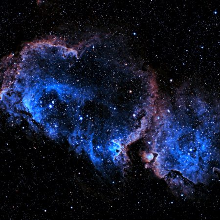 Αισθηματικές προβλέψεις 8/7